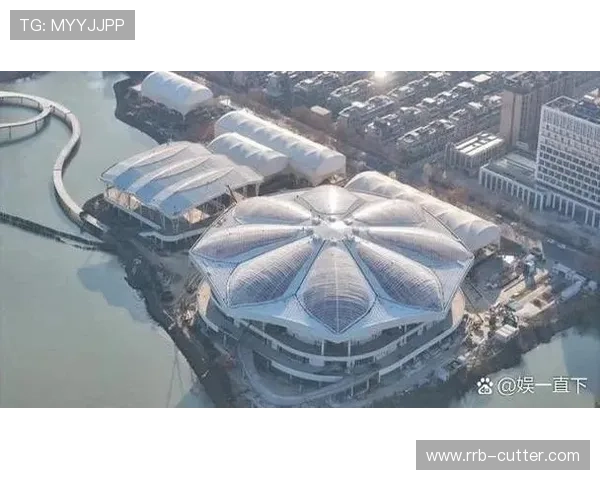 从红土到草地再到硬地全面解读四大网球公开赛的荣耀与传奇 从红土到草地再到硬地全面解读四大网球公开赛的荣耀与传奇