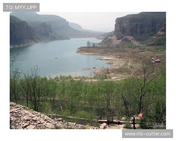 太阳队重塑辉煌之路 揭秘新赛季战术布局与球员动态 太阳队重塑辉煌之路 揭秘新赛季战术布局与球员动态