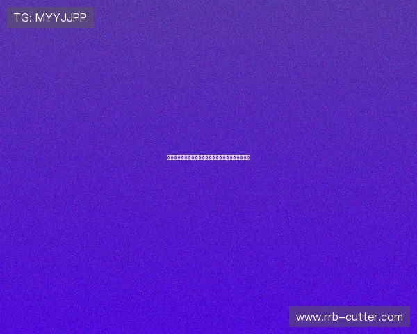 拜耳勒沃库森足球俱乐部发展历程与球队未来展望分析 拜耳勒沃库森足球俱乐部发展历程与球队未来展望分析