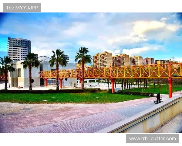 聚焦瓦伦西亚俱乐部的历史传承与未来发展探索之路深度解析前景展望